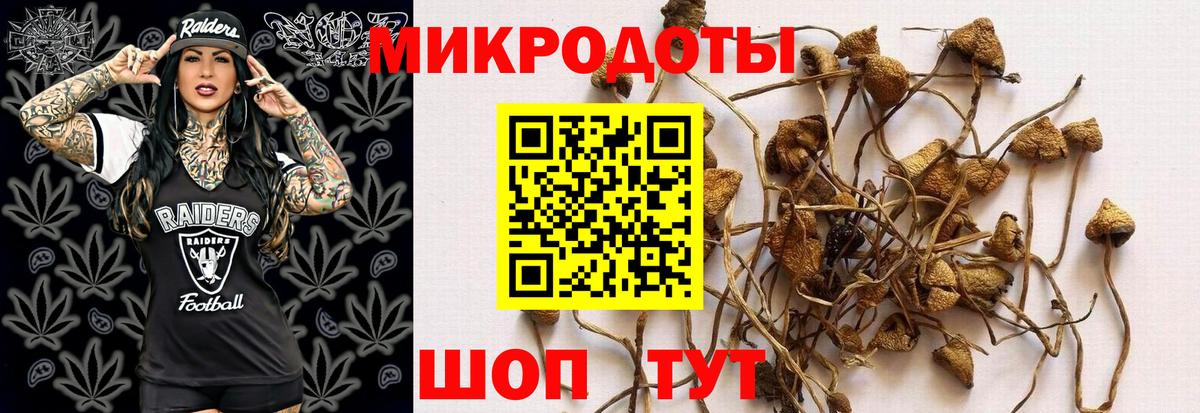Галлюциногенные грибы Magic Shrooms Менделеевск